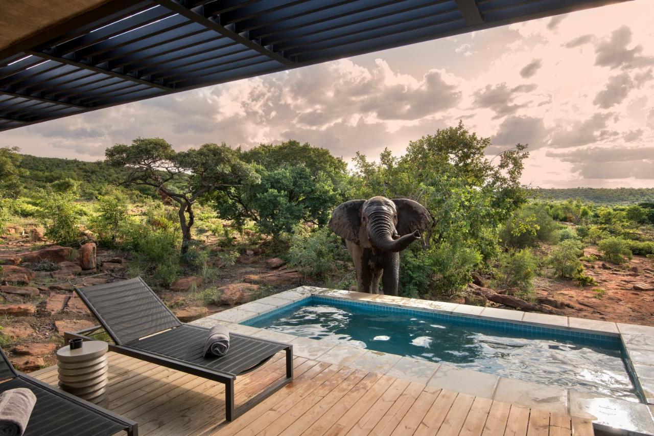 57 Waterberg Villa Welgevonden Game Reserve Bagian luar foto
