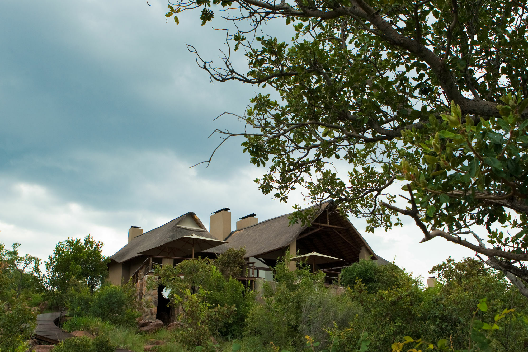 57 Waterberg Villa Welgevonden Game Reserve Bagian luar foto